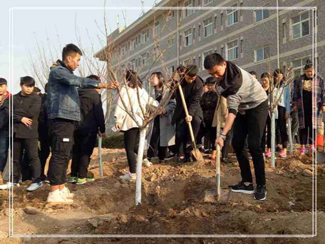 春风十里,种了心意—轻化工程系植树活动