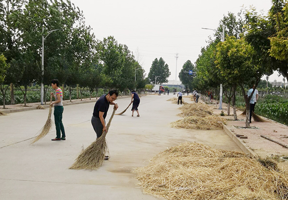 美丽清泉,我们在行动!---机关一和艺术设计系党支部与清泉村开展结对帮扶