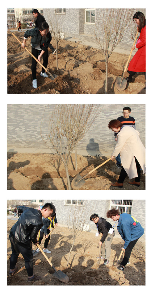 播撒一片绿 携手创未来——艺术设计系师生为校园植树添绿