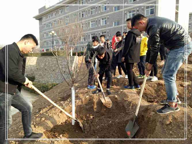春风十里,种了心意—轻化工程系植树活动